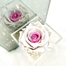 Load image into Gallery viewer, Belle Rose Box | 100% Natural Rose
