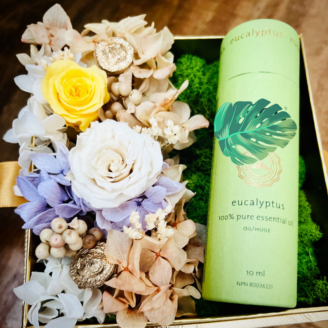 Luxury Flower Box | Gift Garden