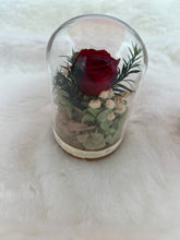 Load image into Gallery viewer, Petite Love | Little glass dome of everlasting flowers | 100% Natural
