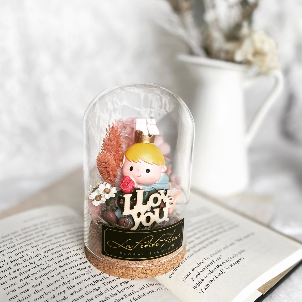 Petite Prince | Little Glass Dome with light