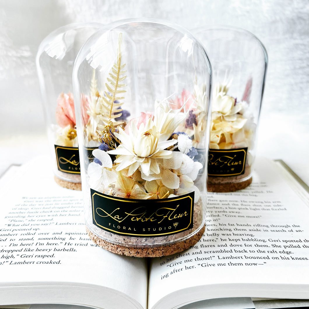 Petite Garden | Little Glass Dome of Inspiration