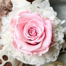 Load image into Gallery viewer, CUDDLY Bear 9.5&quot; | Pink | Preserved ROSE BOUQUET
